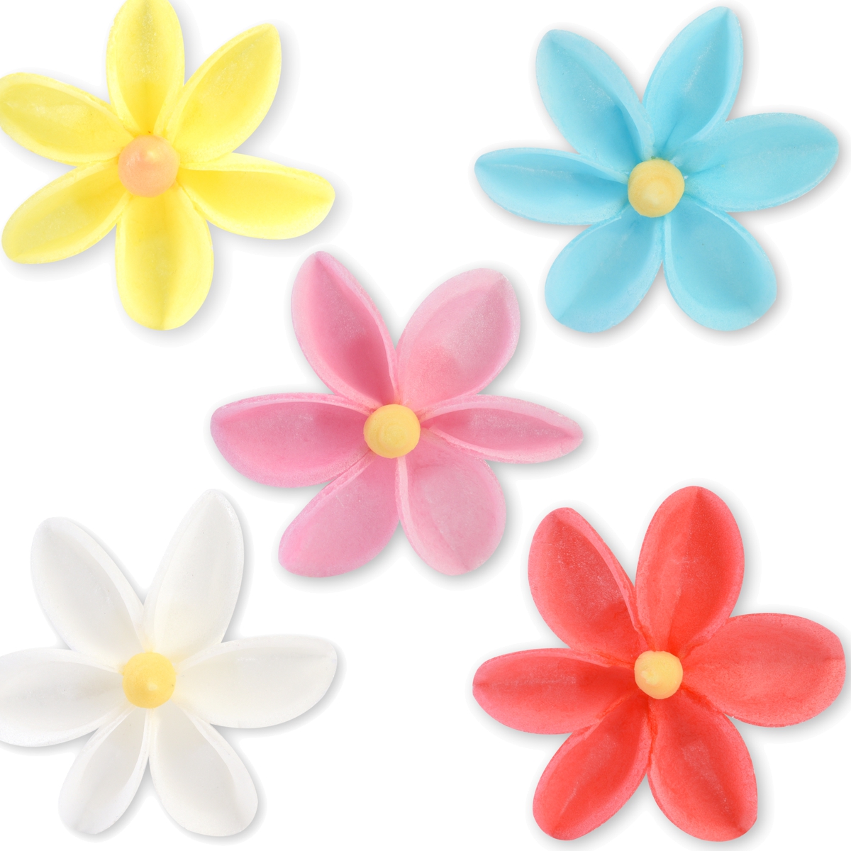 Flor Dalia de Oblea 5 Cores 45mm 100 un