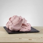 Base Welness para gelado 1,1kg
