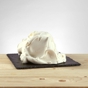 Yogur Light & Stevia para gelado 1,11kg