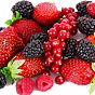 Recheio de Frutos Silvestres Monza 6kg
