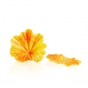 Decoraes de Chocolate Dobla - Fall leaf yellow 24 un
