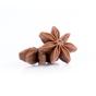 Decoraes de Chocolate Dobla - Chocolate star anise 54 un