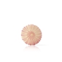 Decoraes de Chocolate Dobla - Rosette pink/white Small 108 un