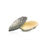 Dobla Enchimento - Chocolate oyster 12 un