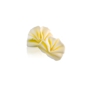 Dobla Leques - Forest shavings mini white 475 un