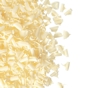 Barbara Decor Caracois e Raspas - Blossom white 9x5mm 4kg