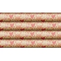 Transfere para Chocolate 300x400mm Coraes Desenhados 2 Modelos 24 Folhas