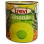 Anans em calda Trevi Lata 3005g
