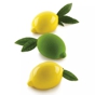 Molde de Silicone para Pastelaria Lim�o e Lima 4x120ml 88x61x44mm + Suporte de Pl�stico