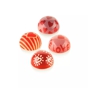Semiesfera e Choco Stamp para Molde em Plstico Tritan para Bombons Semiesfera - Modelo C