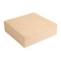 Caixa Nano-Micro Castanho sem Janela 260x260x80mm 2x50 un