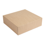 Caixa Nano-Micro Castanho sem Janela 300x300x80mm 2x50 un