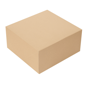 Caixa Nano-Micro Castanho sem Janela 240x240x120mm 2x50 un