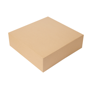 Caixa Nano-Micro Castanho sem Janela 320x320x100mm 2x50 un