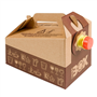 Caixa Bag in Box 3L 96oz Carto Castanho 25 un