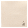 Guardanapo Double Point Ecolgico 250x250mm 60x50un