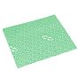 Panos Wipro Antibac 420x370 mm Verde 20 un