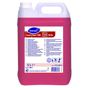 Produto de limpeza para casas de banho Sani 100 - 5L