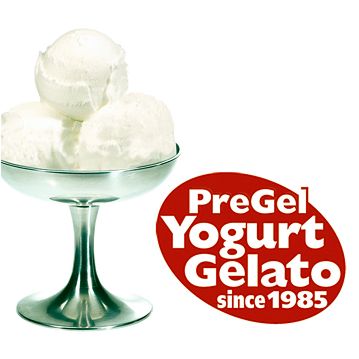 Sprint para Gelado Yogursprint PreGel 1kg