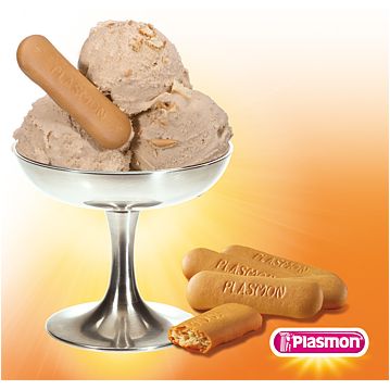Sprint para Gelado Biscoito Italiano (bolacha Maria) PreGel 1,5kg