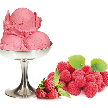 Sprint para Gelado Framboesa com Pedaos PreGel 1,32kg