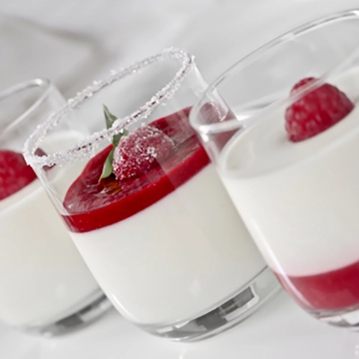 Mix Panna Cotta Irca 1kg