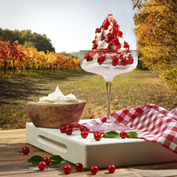Arabeschi Lingonberry PreGel 3kg