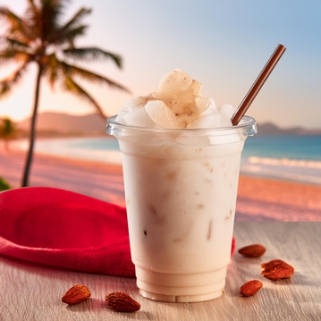 Granizado Lquido Horchata Chufa 1L