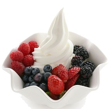 Froyo The Original Frozen Yogurt Monza 8x1kg
