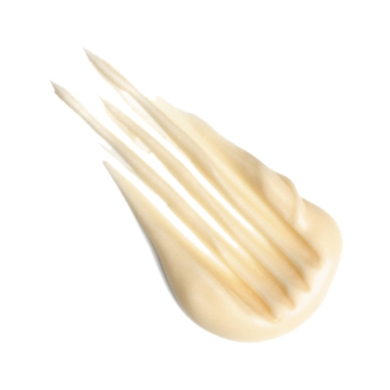 Creme de Mascarpone ZeroP Icam 6kg