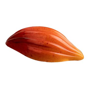 Molde em Plstico Policarbonato para Bombons Praline Theobroma 56x26x14mm