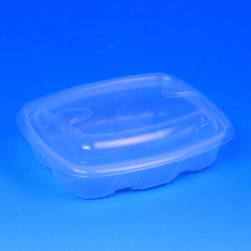 Contentor para Micro-ondas Rectangular Archipack BCKTP251 Transl�cido 250ml 143x115x46mm 480 un