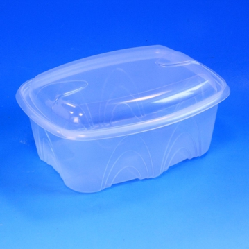 Contentor para Micro-ondas Rectangular Archipack BCKTP2001 Transl�cido 2000ml 230x180x106mm 180 un