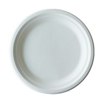 Prato em Cana de Acar Branco 220x19mm 10x50un
