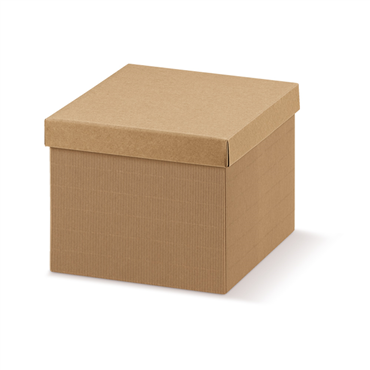 Caixa de Carto Kraft  Ondulado 380x260x110mm