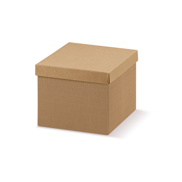 Caixa de Carto Kraft  Ondulado 300x300x240mm