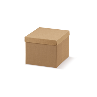 Caixa de Carto Kraft  Ondulado 240x170x100mm