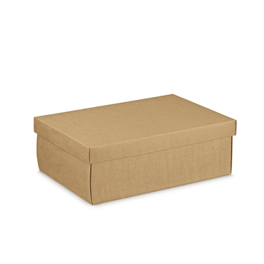Caixa de Carto Kraft  340x250x120mm
