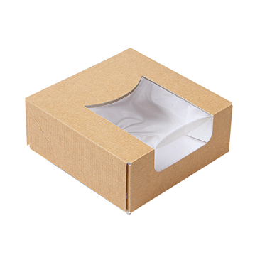 Embalagem Rectangular com Janela Nano-Micro 230x230x50mm 6x50un