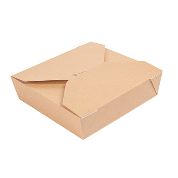 Embalagem Americana Estanque Nano-Micro Castanha 2910ml 217x217x60mm 2x50un