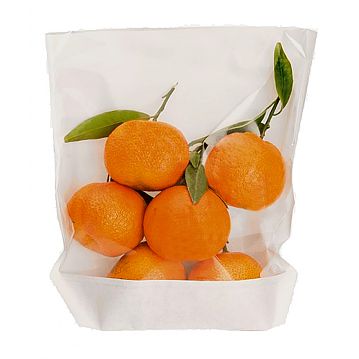 Saqueta de Papel Kraft Branco + PP com Janela Turtle Pack 200x240/210x35mm 100 un