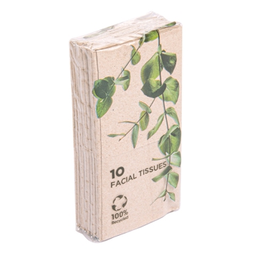 Lenos Faciais Tissue Natural 3 Folhas 210x210mm Feel Green 10x10 un