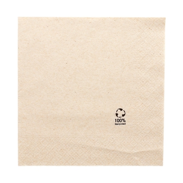 Guardanapo Papel Tissue Ecolgico 300x300mm 2 Folhas 24x100un