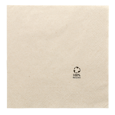 Guardanapo Papel Tissue Ecolgico 390x390mm 2 Folhas 16x100 un
