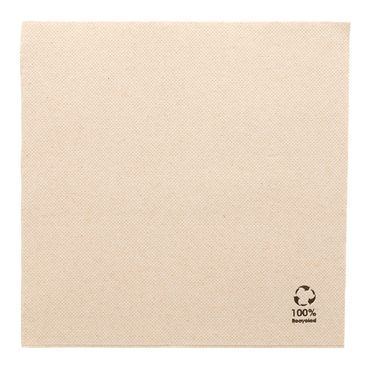 Guardanapo Double Point Ecolgico 390x390mm 24x50un
