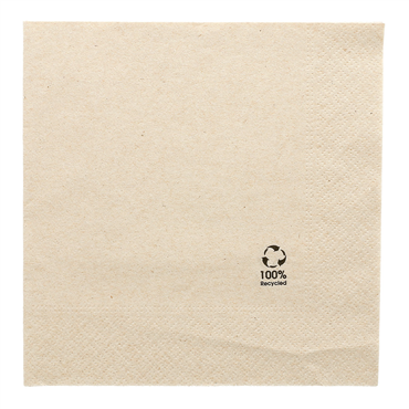 Guardanapo Papel Tissue Ecolgico 330x330mm 2 Folhas 24x100un