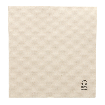 Guardanapo Double Point Ecolgico 330x330mm 24x50un