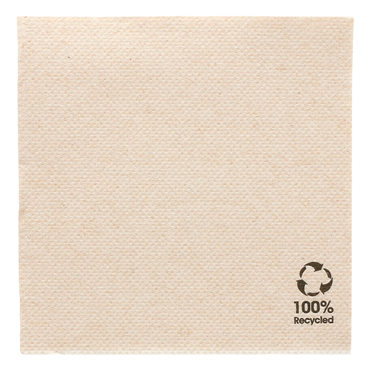 Guardanapo Double Point Ecolgico 200x200mm 24x100un