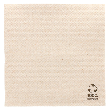 Guardanapo Double Point Ecolgico 250x250mm 60x50un
