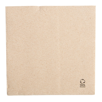 Guardanapo Double Point Ecolgico 300x300mm 36x50un